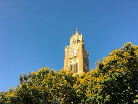 Rajabai clock tower rising above the trees