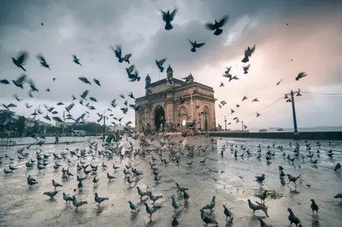 Gateway of India behind pigeons on the waterfront plaza
